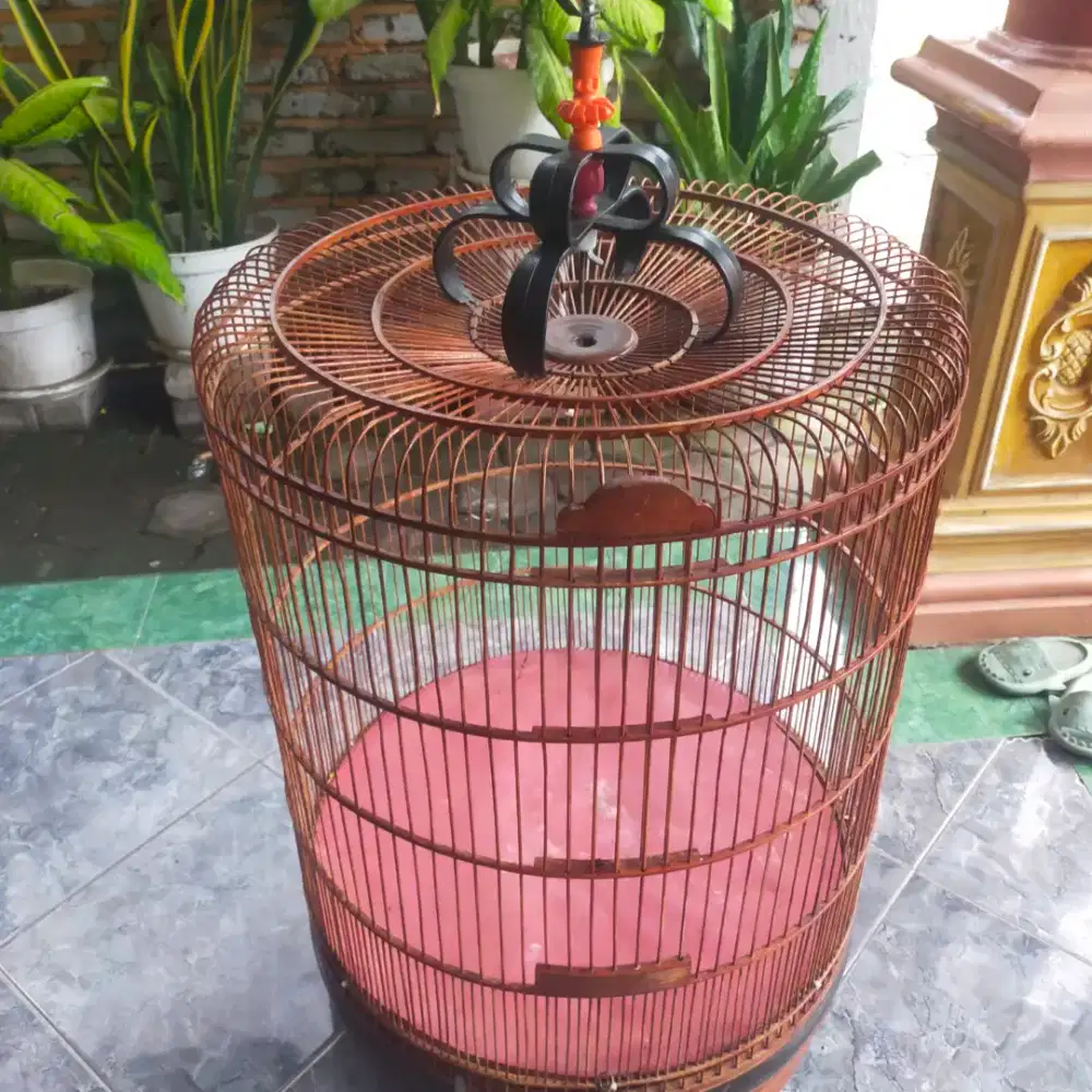 Sangkar burung murai DM 60