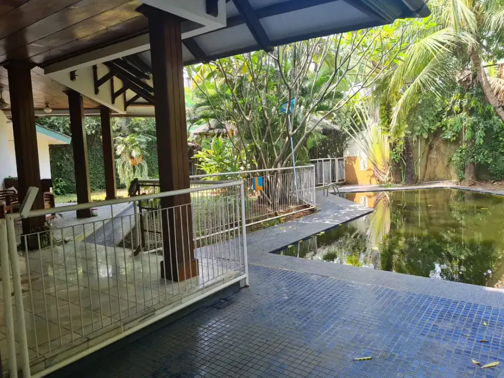 Dijual Rumah Classy Yang Hijau Dan Tenang di Kemang Dalam Area