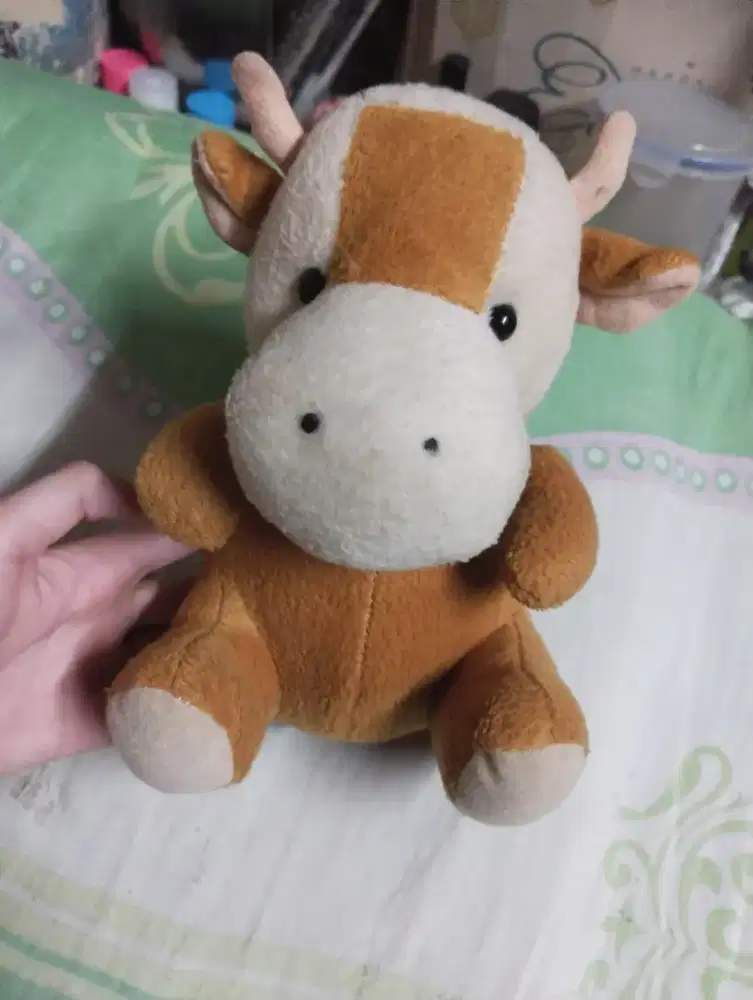Boneka anak - HSC 2025