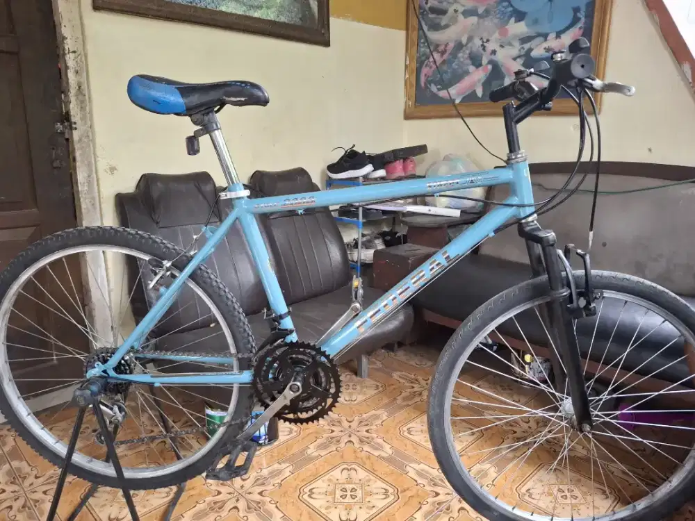 sepeda kalcer federal