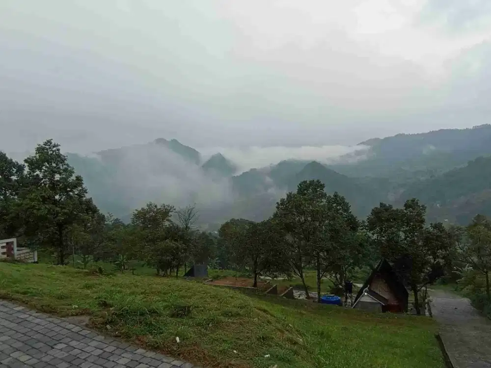 TANAH KAVLING MURAH DI BOGOR PUNCAK 2 UDARA SEJUK PINGGIR JALAN UTAMA PUNCAK 2