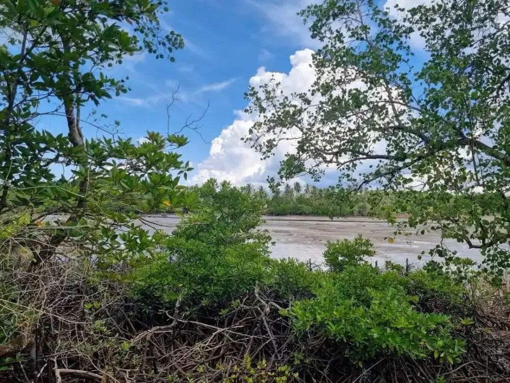 Jual Cepat Tanah di Bintan Dengan View Pulau Ketir dan Gunung Bintan