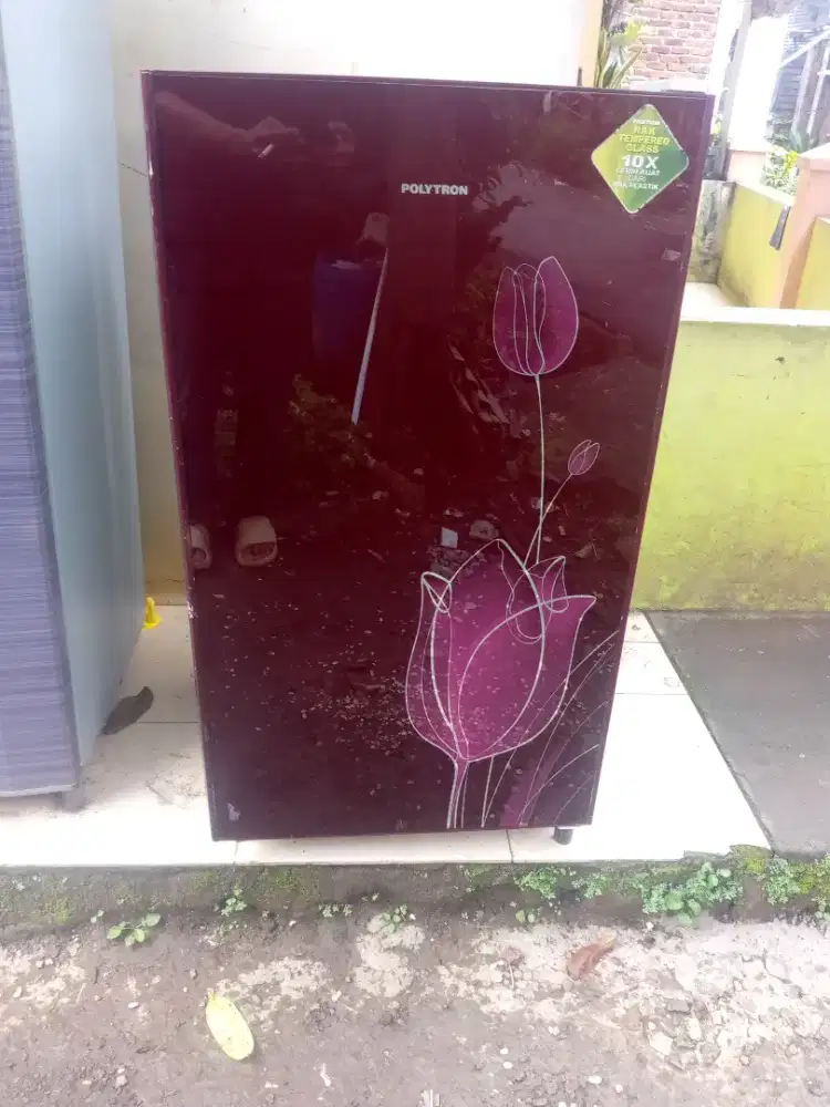 kulkas 1 pintu polytron Normal