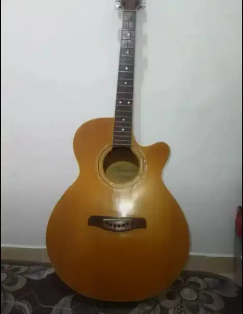 Gitar akustik Brunswick (Nego sampai jadi)