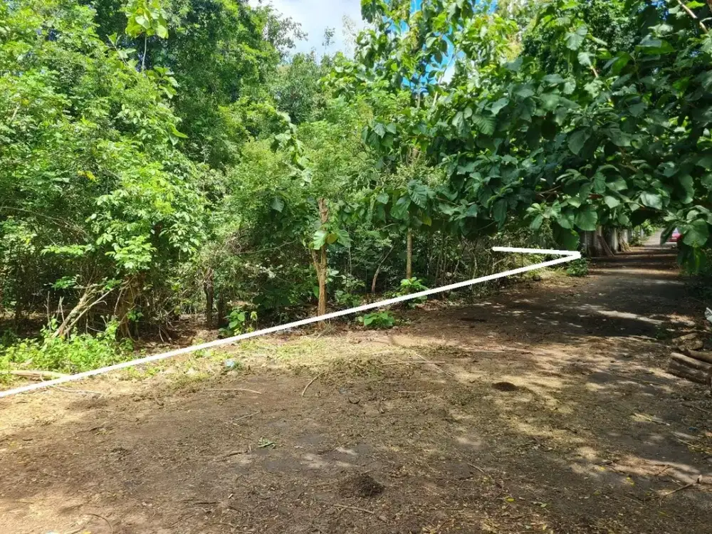 DIJUAL TANAH 50 ARE DI PECATU