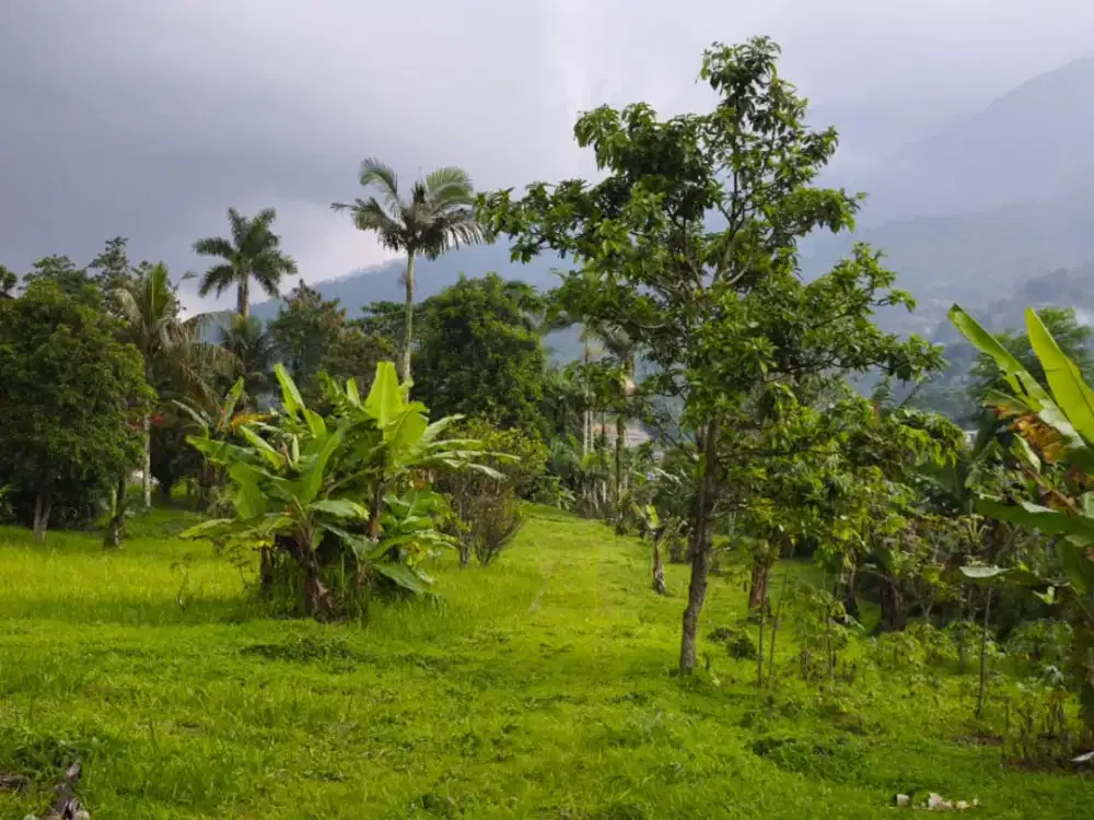 DIJUAL VILLA KAYU HALAMAN LUAS VIEW GUNUNG DI CIGOMBONG BOGOR