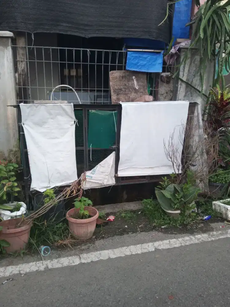 kandang ayam/bebek/serbaguna