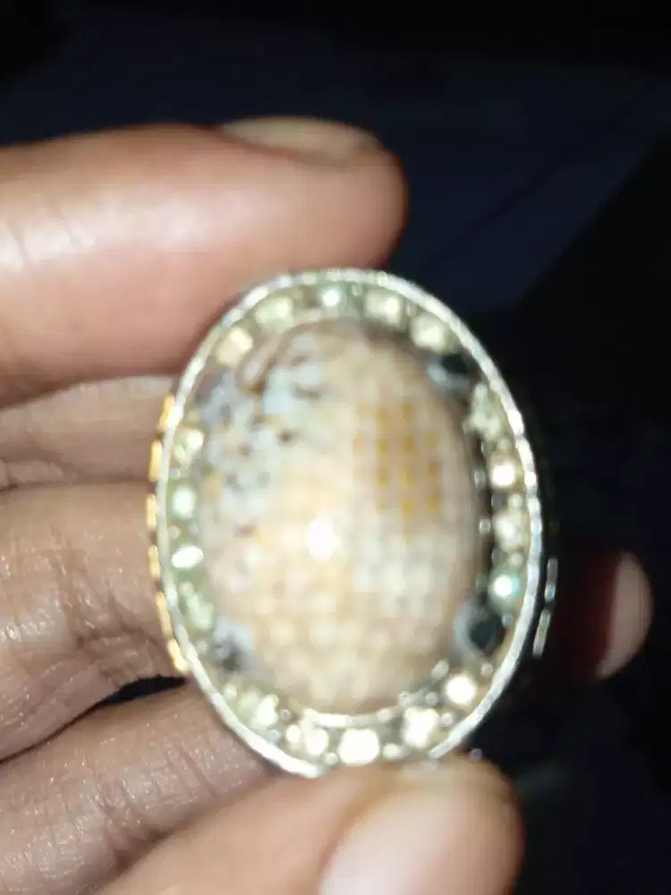 Batu jipen sisik ular Bangkalan Madura natural