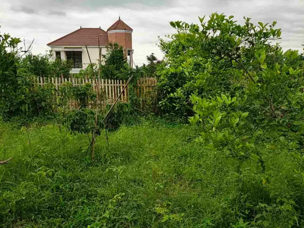 Tanah strategis view indah poncokusumo malang