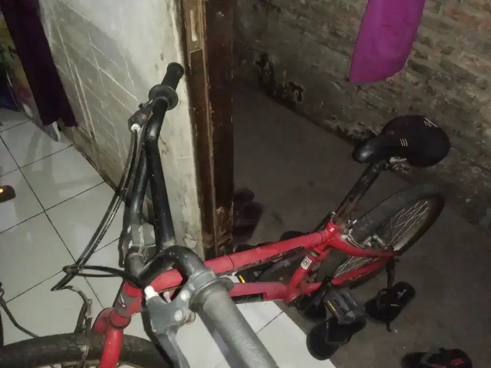 Sepeda anak anak bekas