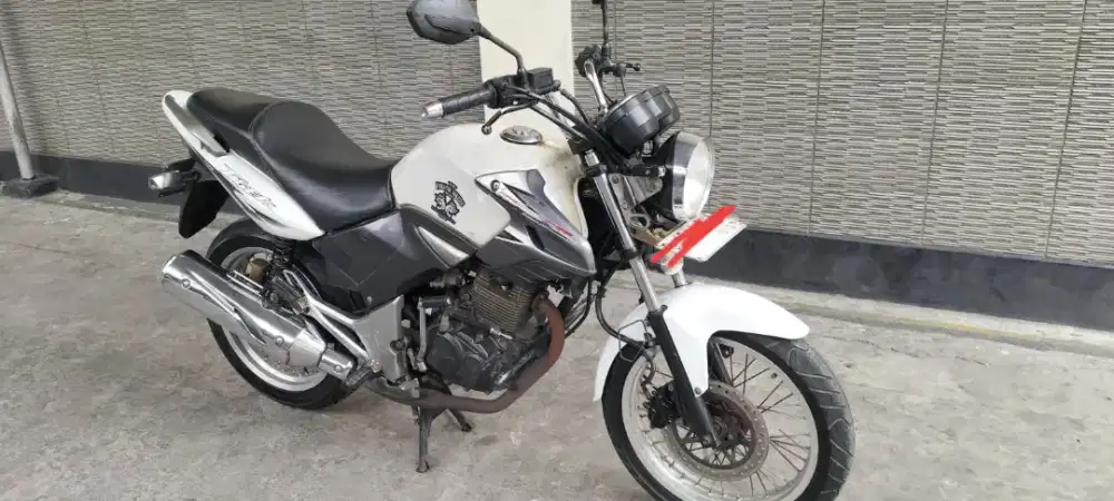 Tiger revo asli putih