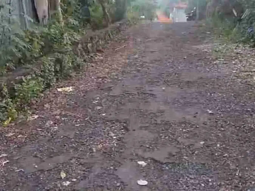 dijual tanah 5 are IDR 550 juta per are nego dekat poltekpar Bali STP Nusa dua