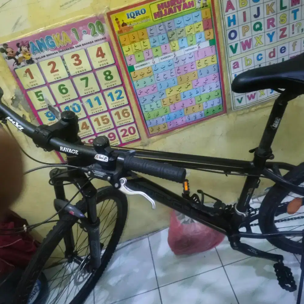 Sepeda Wim Cycle Hotrod 3.0