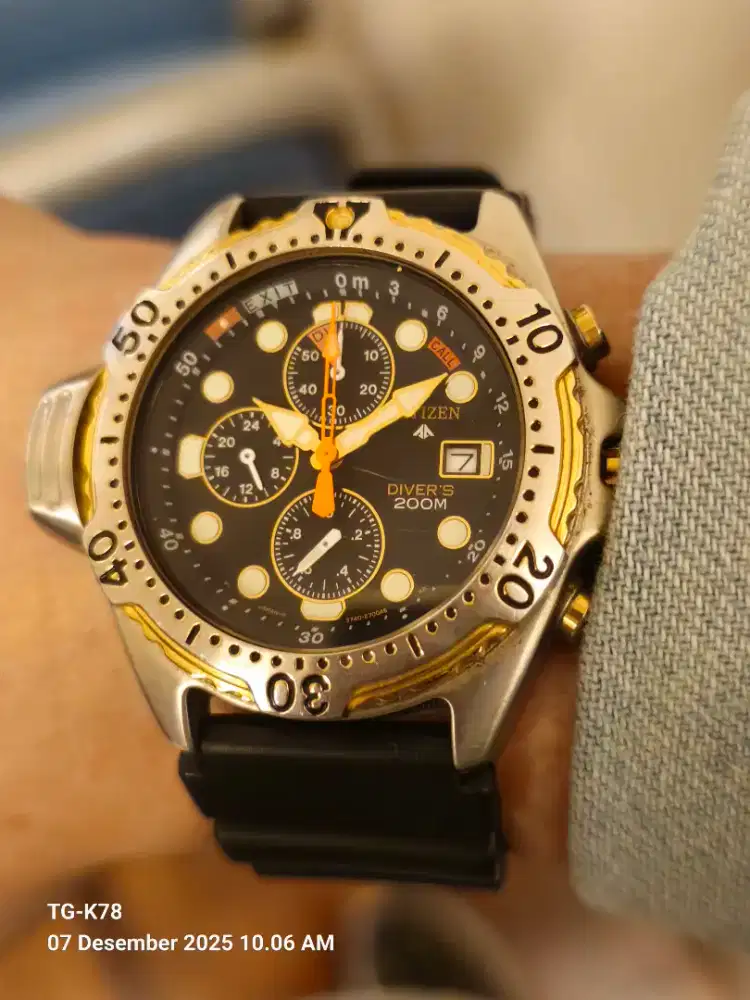 Citizen promaster watch