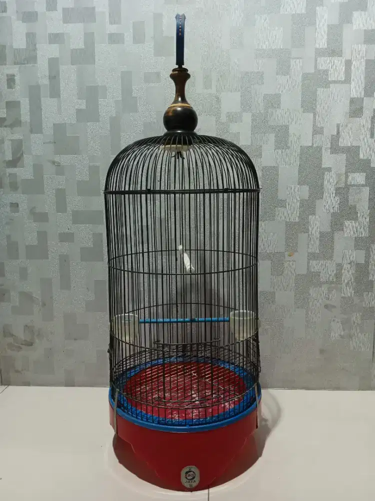 Kandang Lovebird Ebod