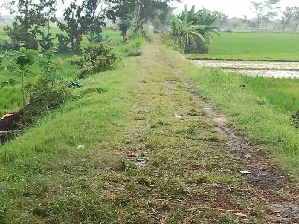 Di jual pekarangan karangayar kota Tegal Gedhe