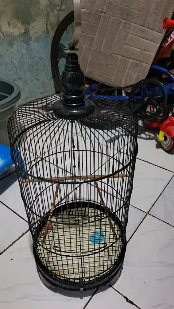 Kandang LB (nangung)