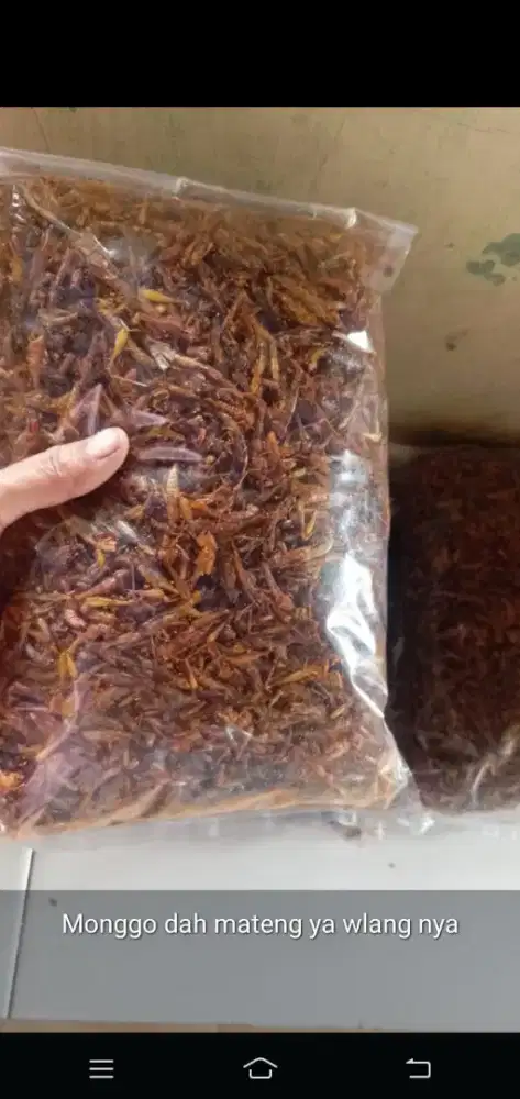Goreng walang satu kilo 120000