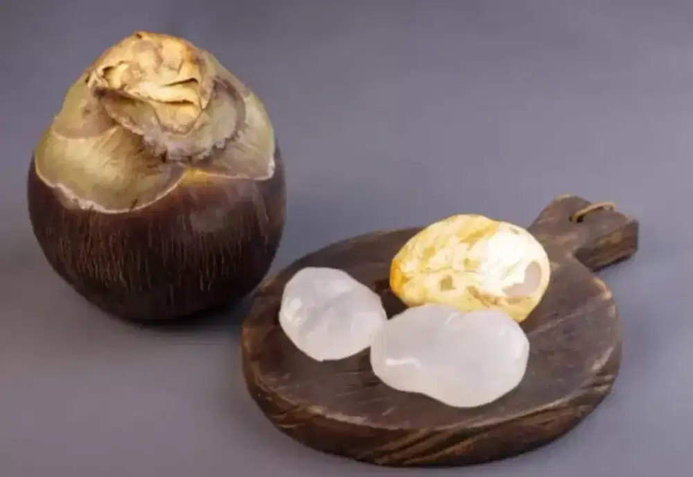 Lowongan kerja kupas buah lontar