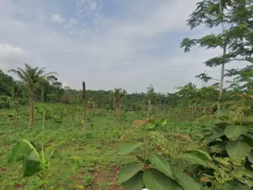 Dijual Lahan Zona Industri Lokasi Strategis Batang Luas 100 Ha