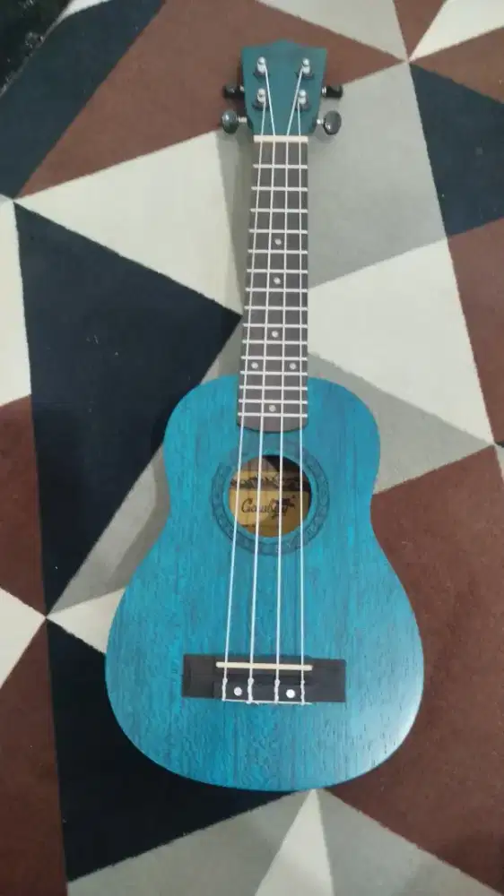 Kentrung | Ukulele | mini Guitar