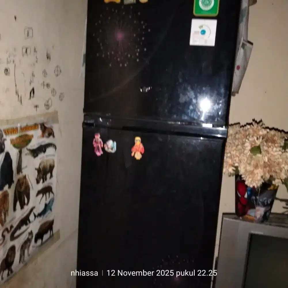 Elektronik rumah tangga