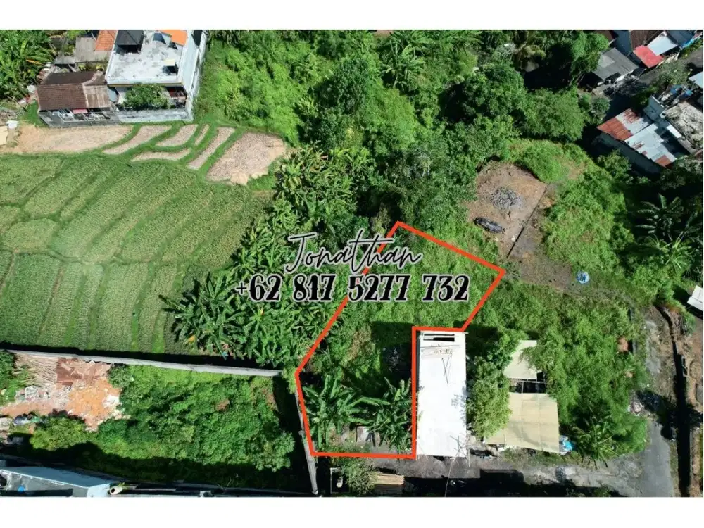 Tanah Murah 2,5 Are di Buduk Dekat Canggu Bisa Nego