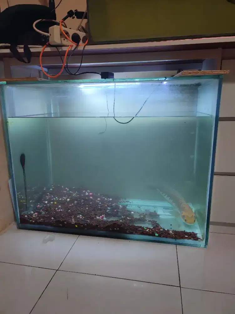 AQUARIUM 80*50*60 tebal 10 ml