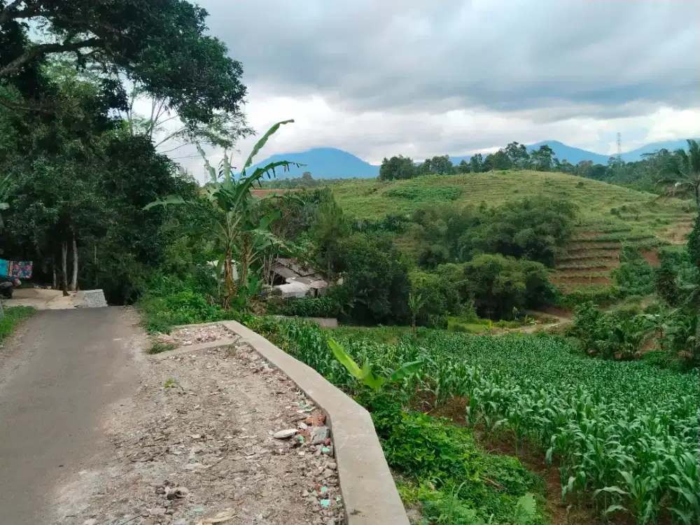 Lokasi dijual cepat dan murah pinggir jalan