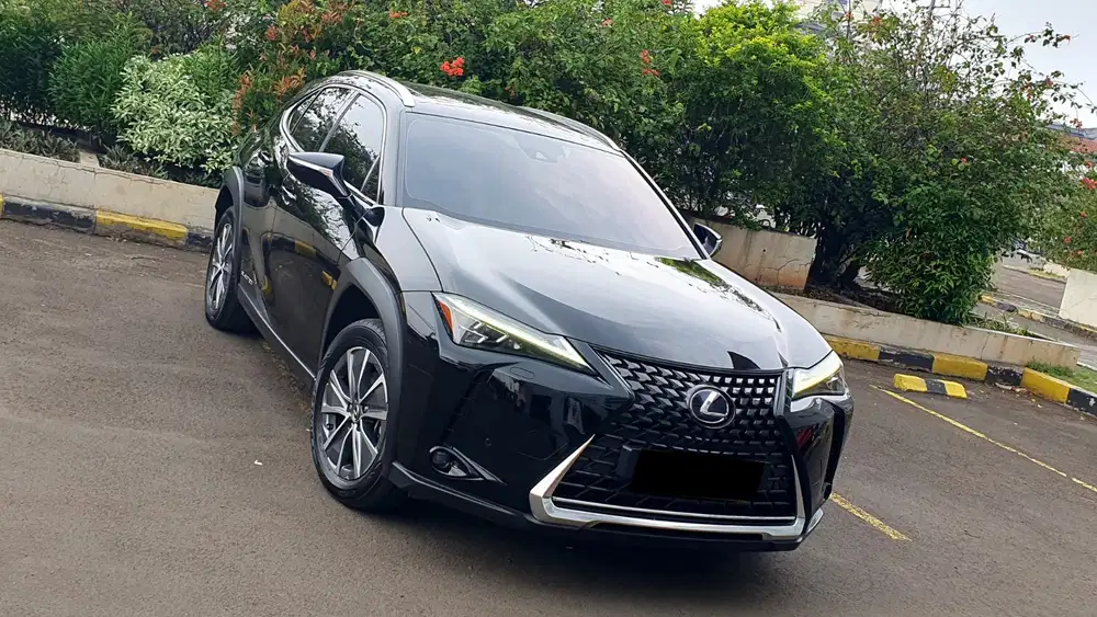 Lexus UX300 UX 300 Electric AT 2022/2023