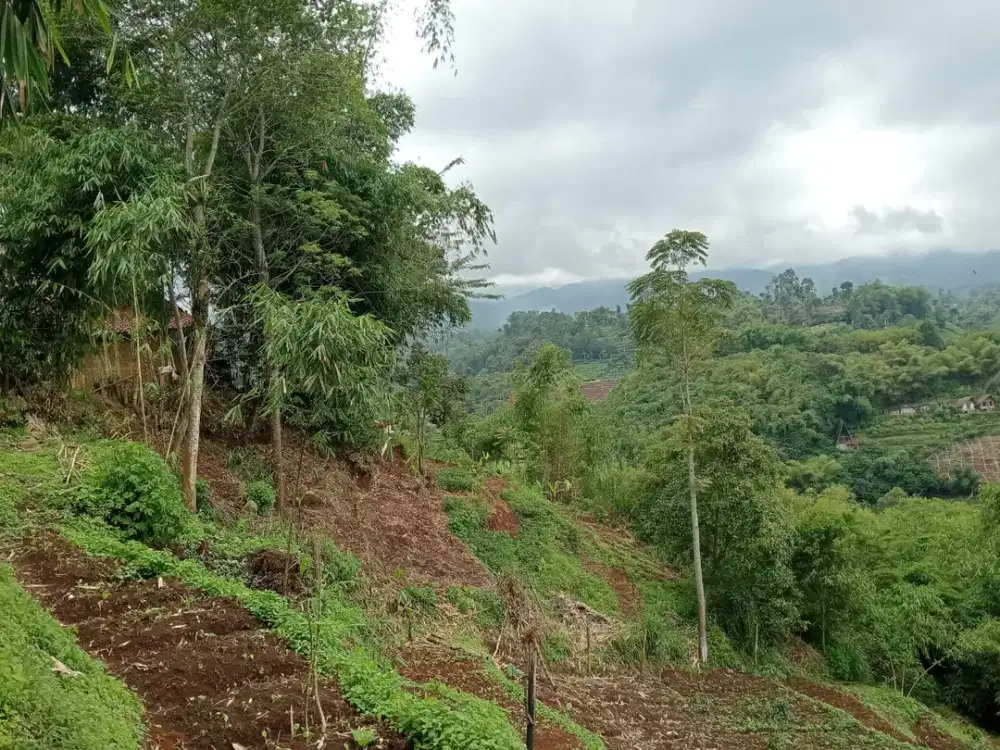 Dijual Tanah Padat View Gunung PapakManggu Gambung