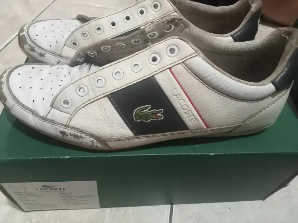 Sepatu Lacoste original