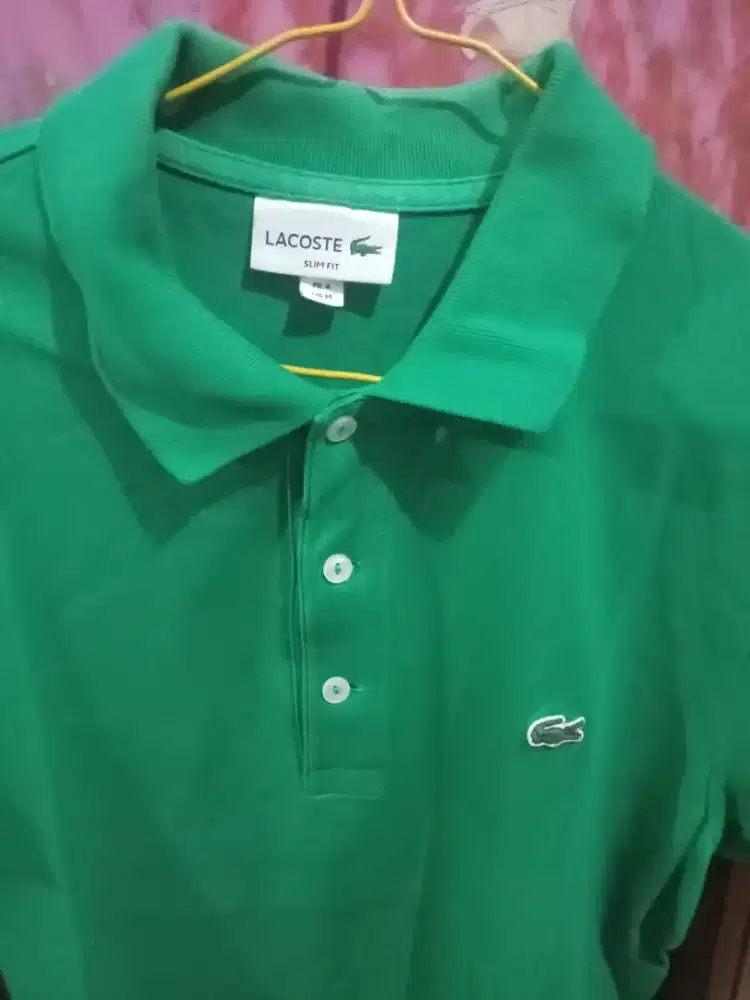 polo Lacoste original