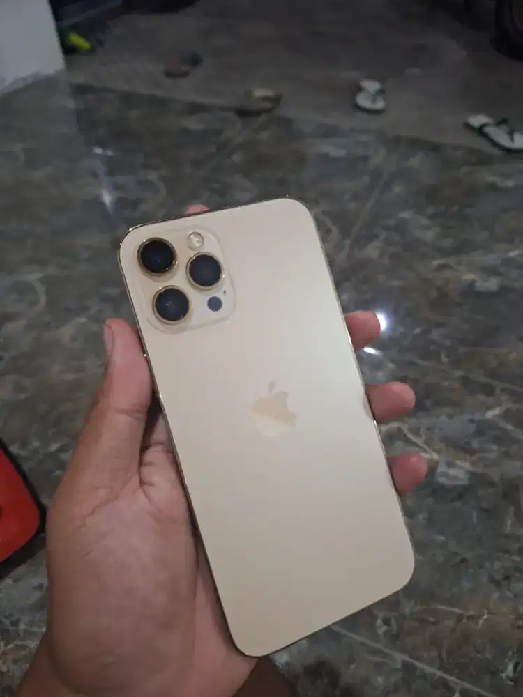 Iphone 12 Promax 256gb