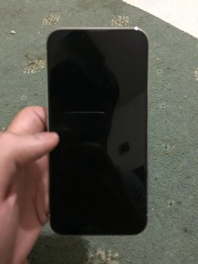 Iphone 13 Pro Beacukai