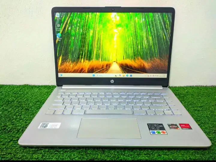 HP 14s-fq0xxx AMD Ryzen 3-3250 tahun 2021 RAM 8 GB SSD 512 GB