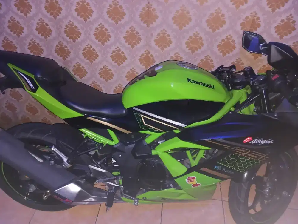 Kawasaki ninja 250 sl KTR
