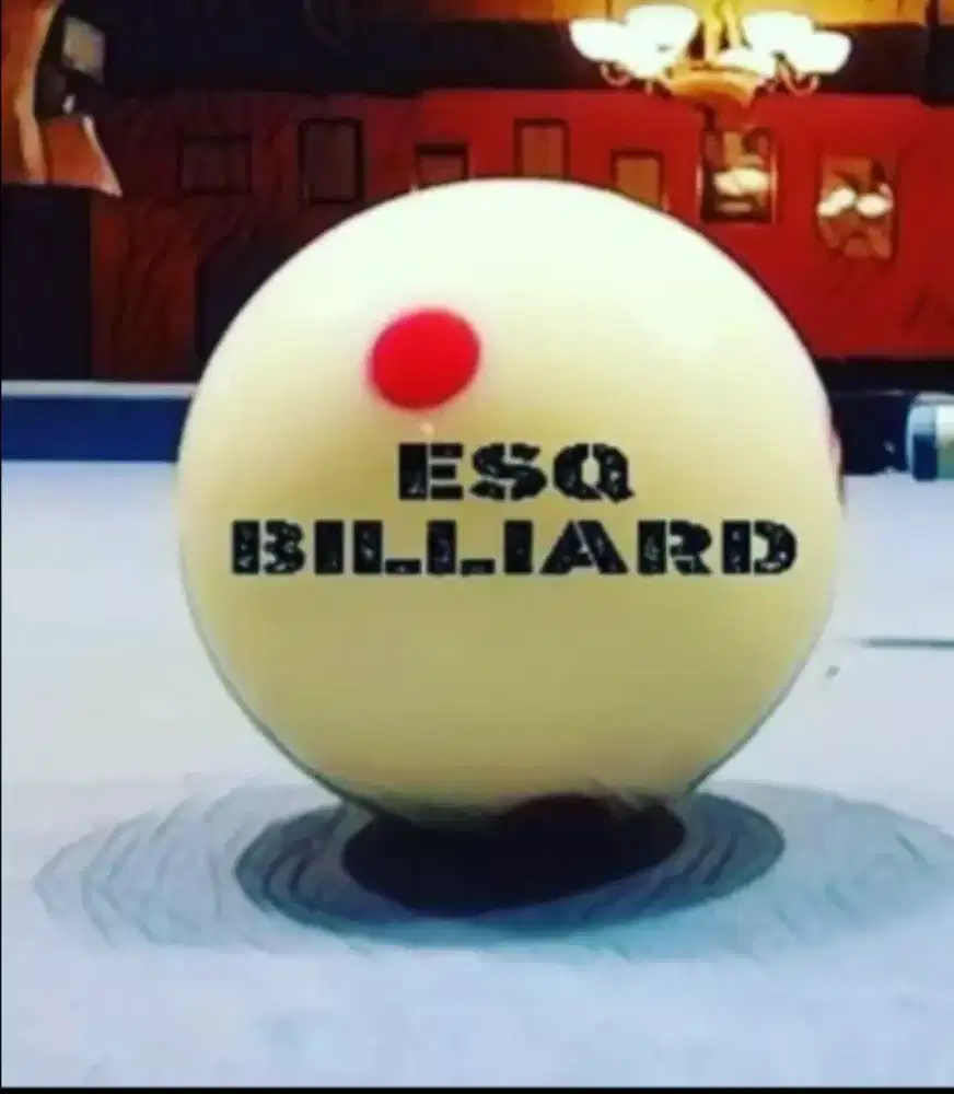 Wasit/racker bola biliard