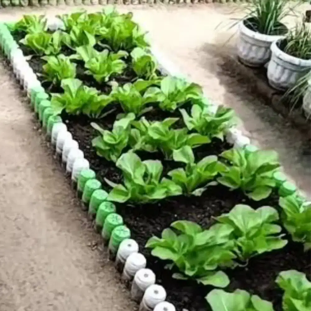 Jasa taman kebun edukasi wisata