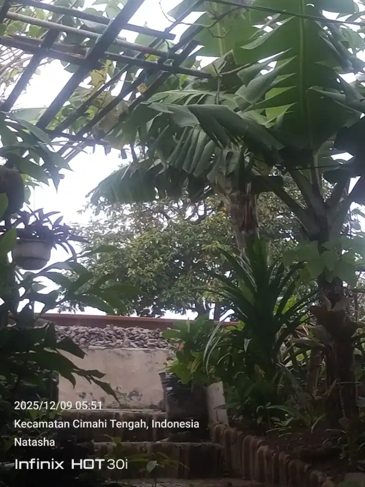 Cari momongan bayi 7 bulan