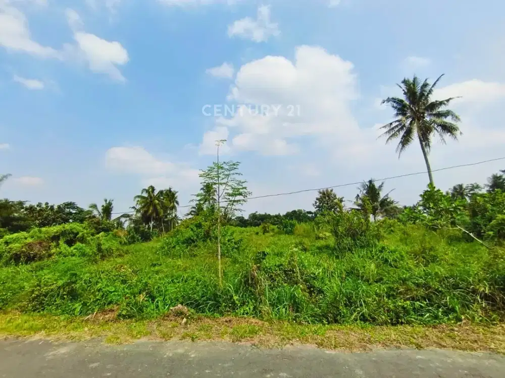 Tanah Di Sleman Utara View Gunung Merapi Harga Masih Nego