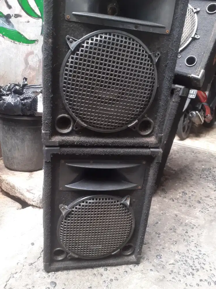 Speaker 12 inch audax