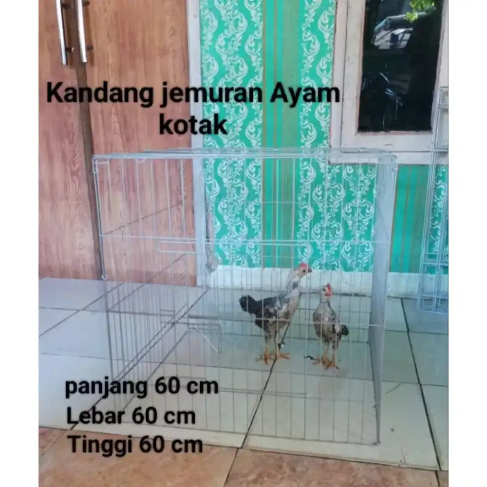 Kandang lipat jemur ayam galvanis