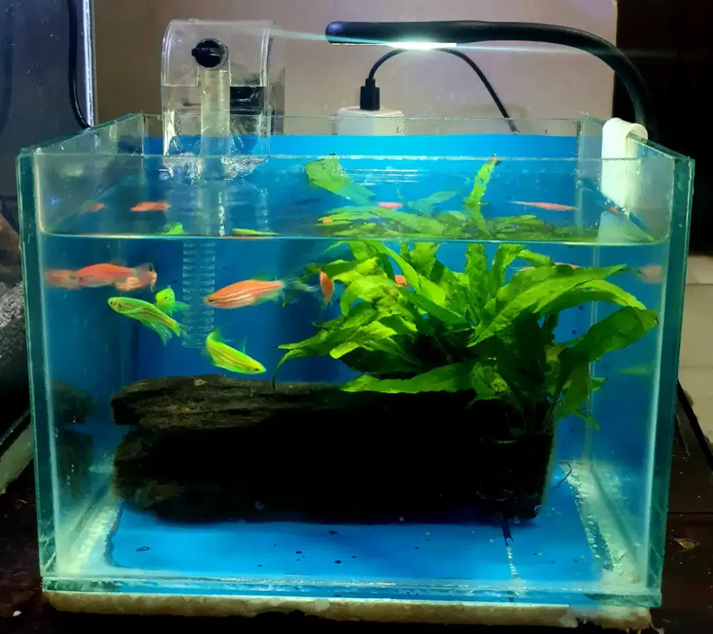 Aquarium lengkap