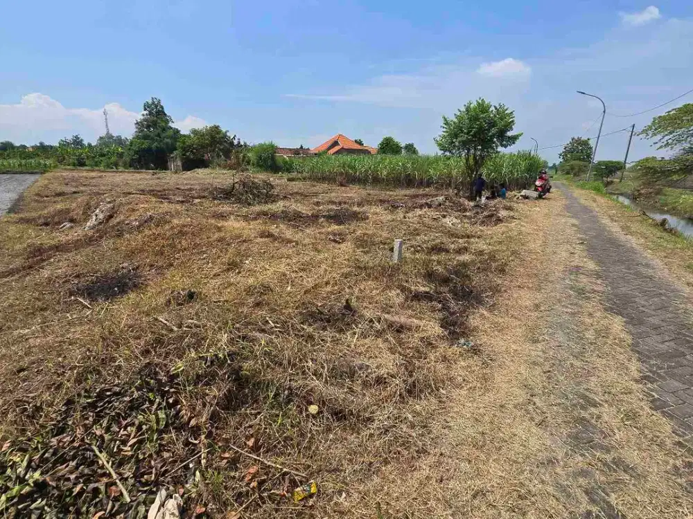 Tanah pekarangan murah siap bangun lokasi balongbendo sidoarjo