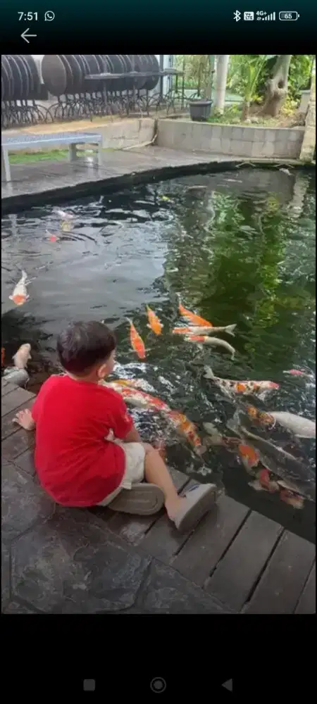 Dibutuhkan pengasuh anak 3 tahun 10 bulan