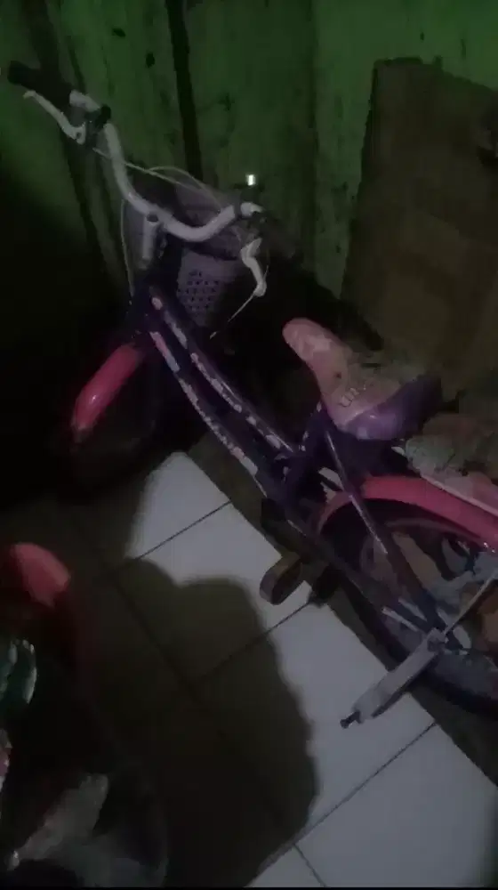 Dijual sepeda mini untuk anak cewek warna pink.. kondisi masih bagus
