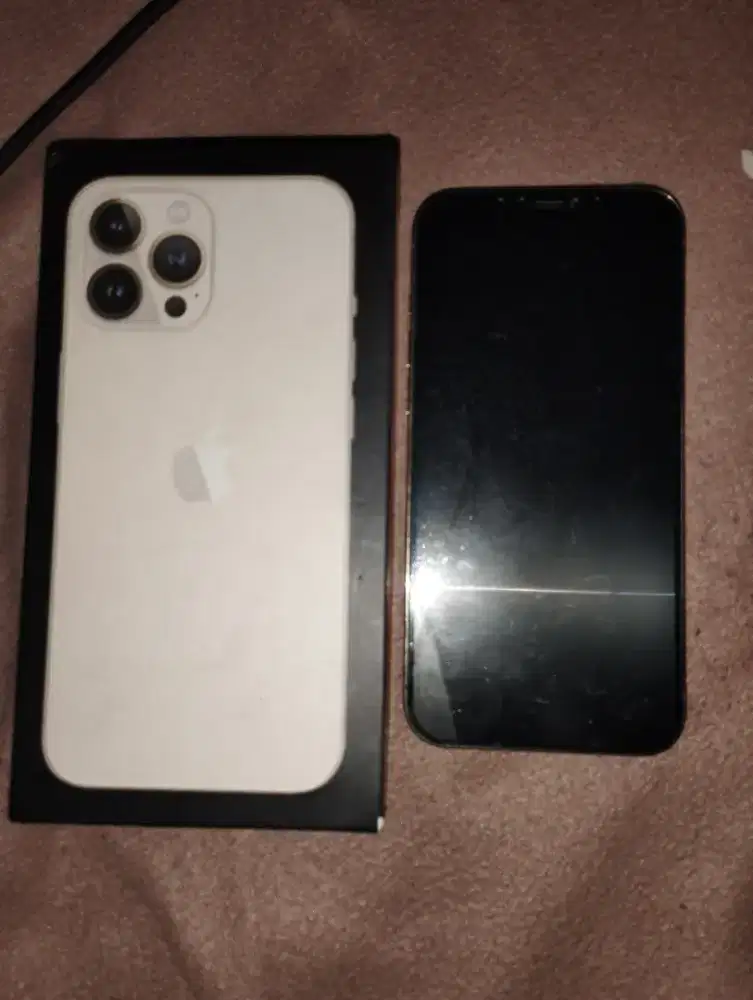 iphone 12 promax 256gb