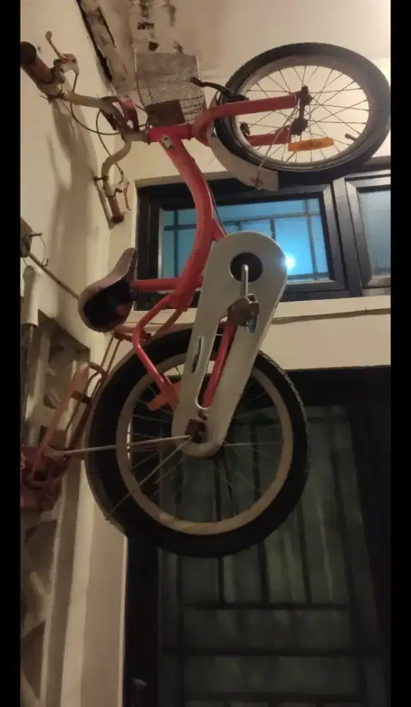 Sepeda anak united 20