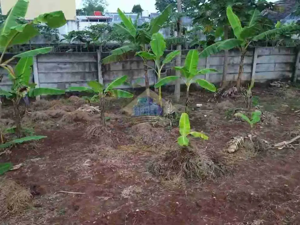 jual tanah industri di gunung sindur pedurenan bogor jawa barat